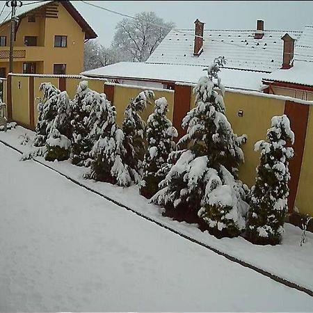 Izabella Guest House Săcele Eksteriør billede