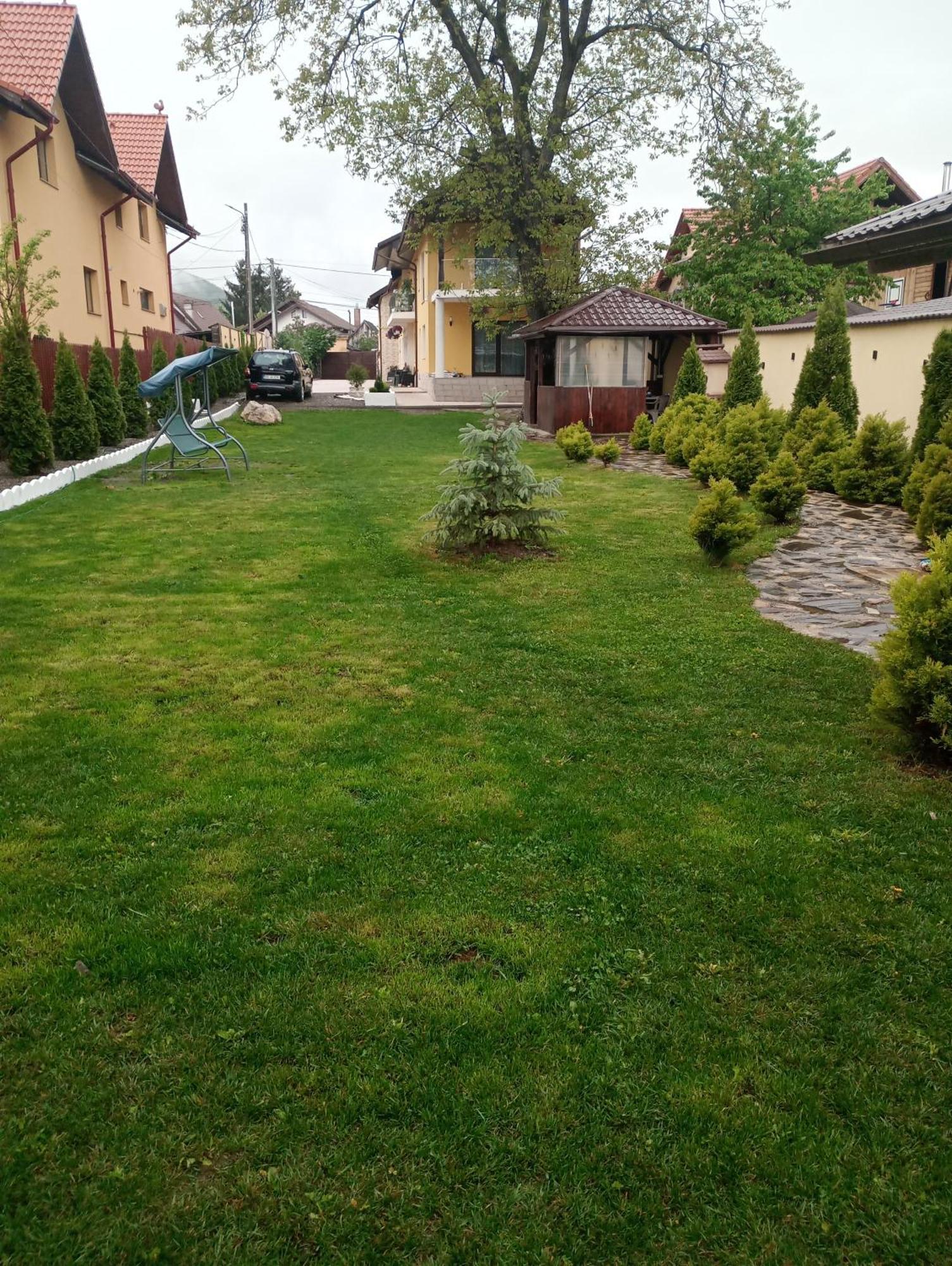 Izabella Guest House Săcele Eksteriør billede