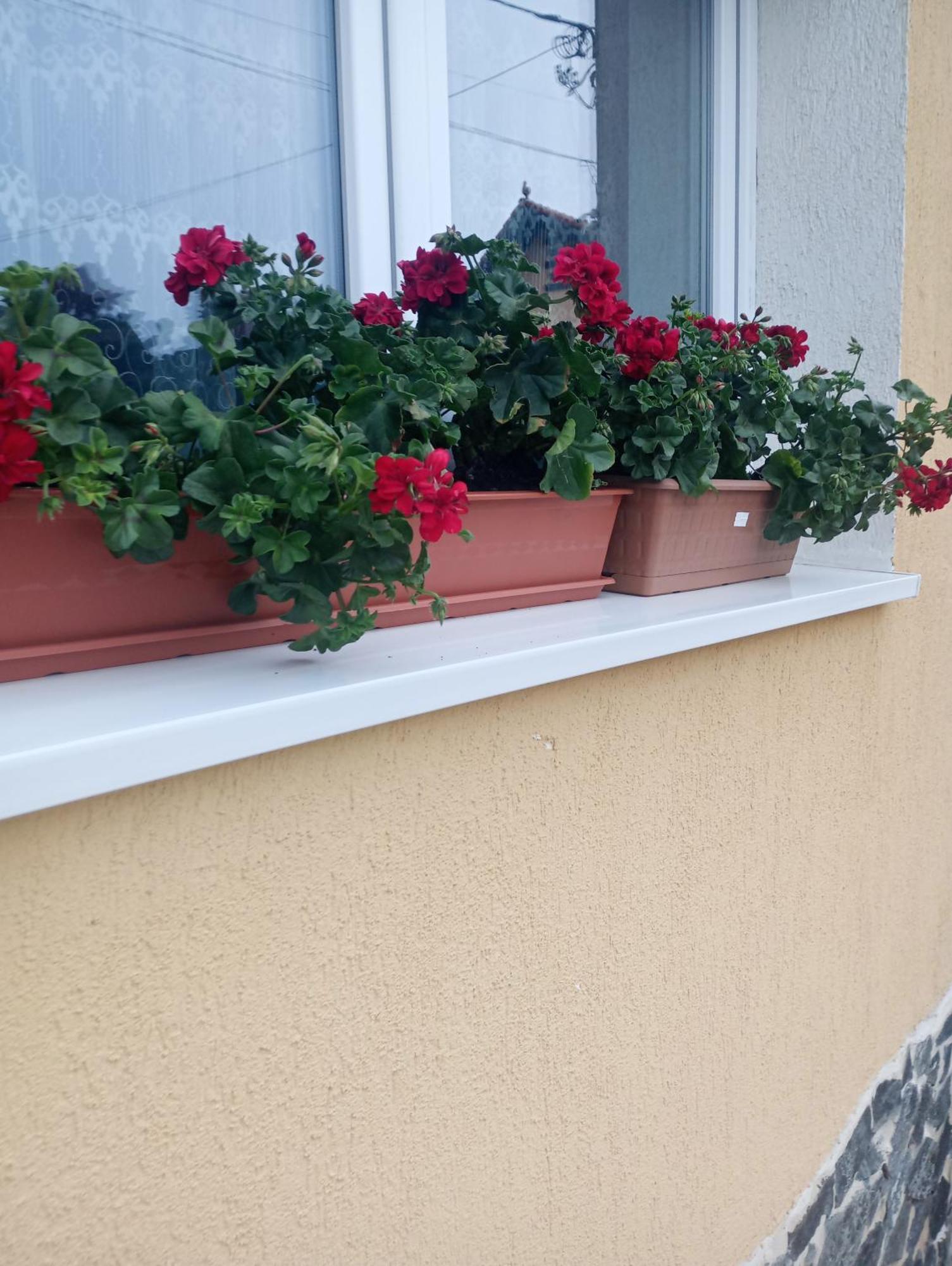 Izabella Guest House Săcele Eksteriør billede