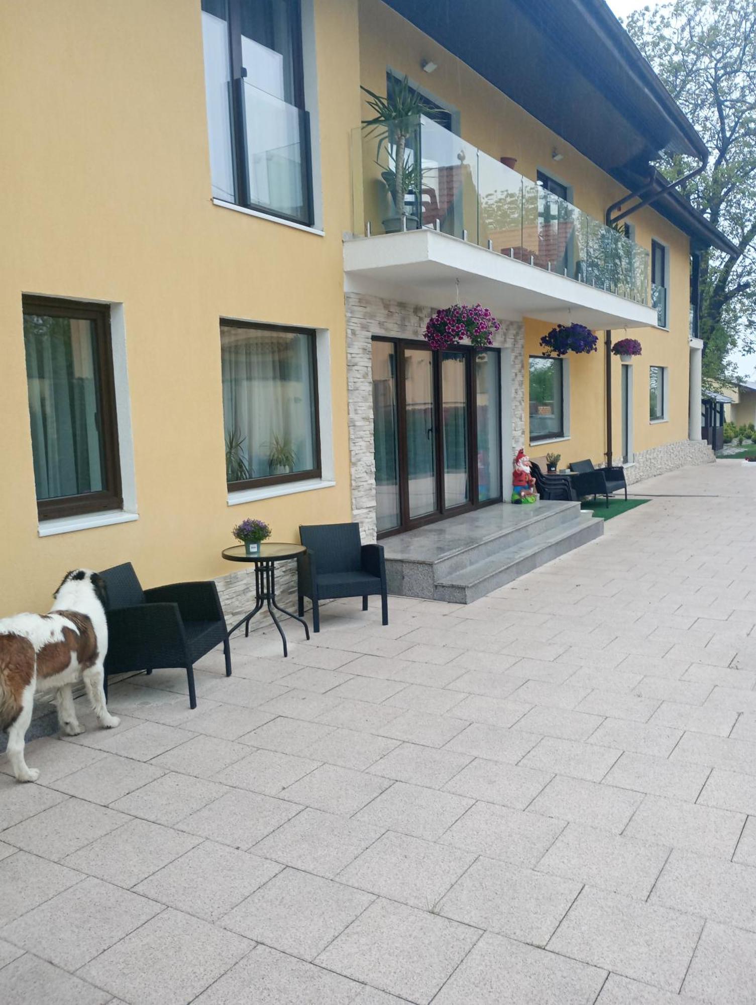 Izabella Guest House Săcele Eksteriør billede