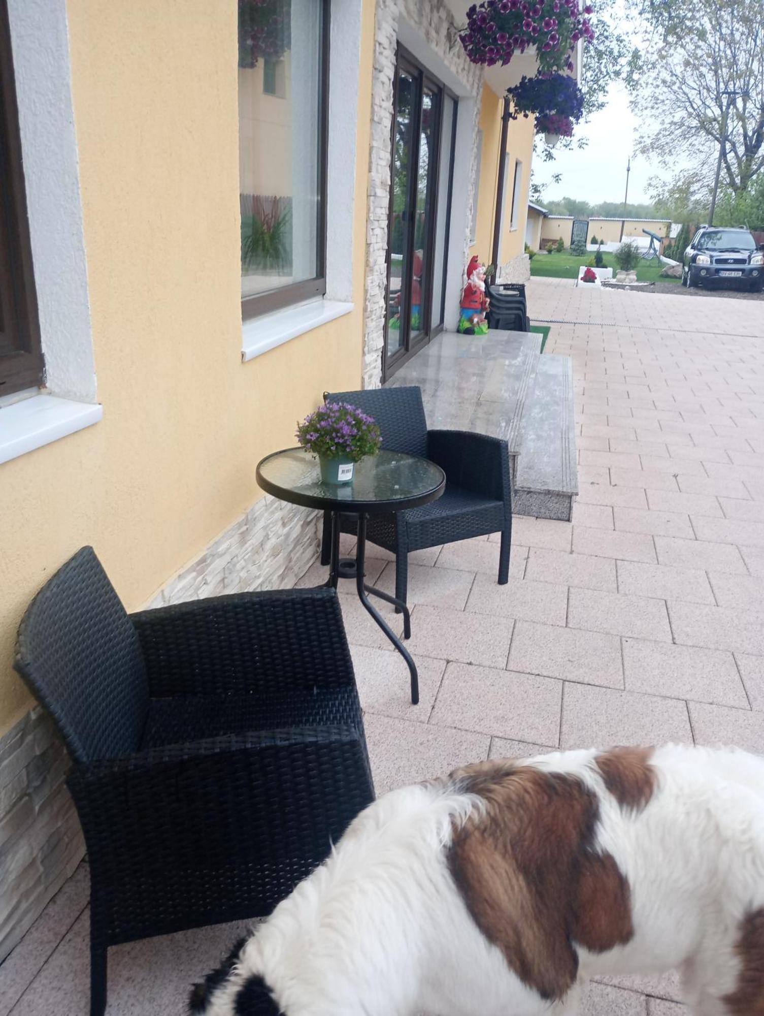 Izabella Guest House Săcele Eksteriør billede